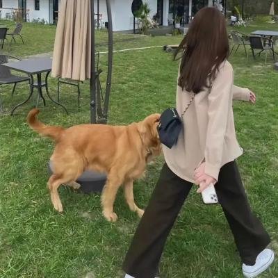 风情千万种